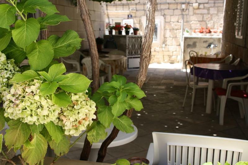 Apartments Pavla オレビック エクステリア 写真